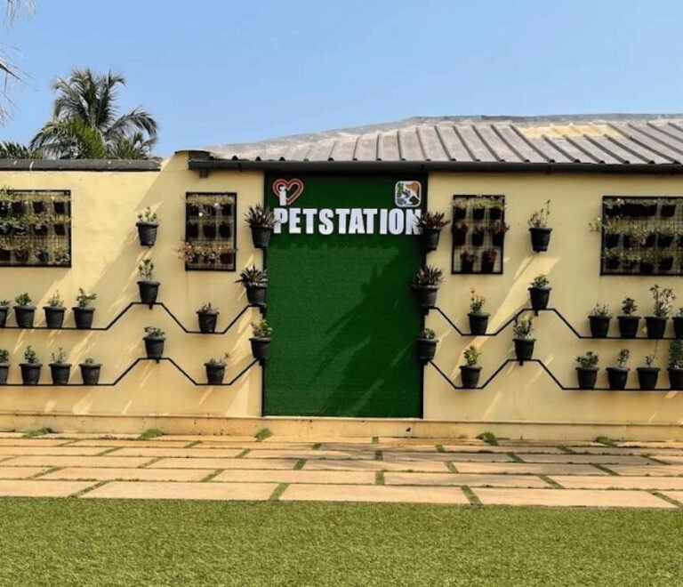 Pet Station, Mattool – A Haven for Animal Lovers