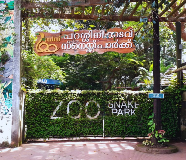 Parassinikadavu Snake Park – A Slithering Adventure in Malabar